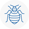 Bed Bug Extermination In Greater Manchester