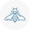 Bee Nest Removal Greater Manchester