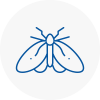 Moth Control Specialists In Greater Manchester
