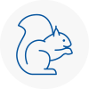 Greater Manchester Rodent Removals